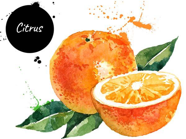 Citrus