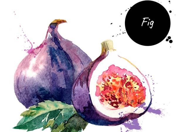 Fig