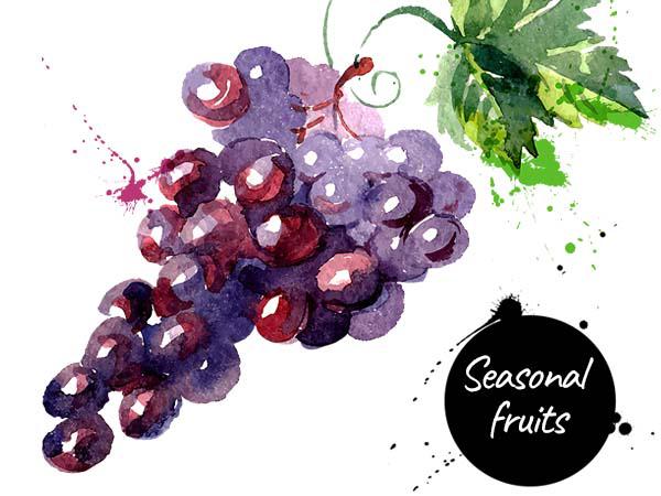 Seasonal Fruit