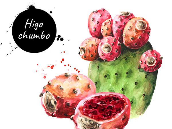 Higo chumbo