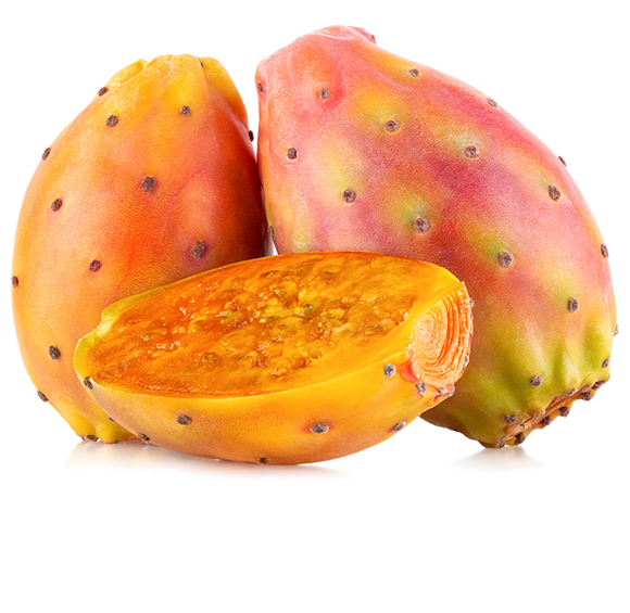 Higo chumbo
