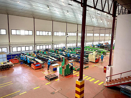 Interior central hortofrutícola 3 Interior central hortofrutícola 3