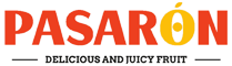 Pasarón Pasarón